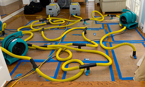 Professional Crawl Space Water Removal technician working in Greene, IA